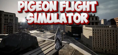 Pigeon Flight Simulator