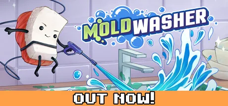 Moldwasher