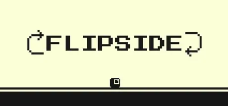 Flipside