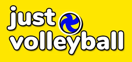just volleyball