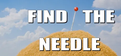 Find The Needle