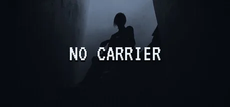 NO CARRIER